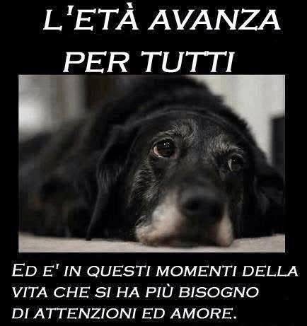 ManuelR98018661's tweet image. Ricordiamolo sempre....