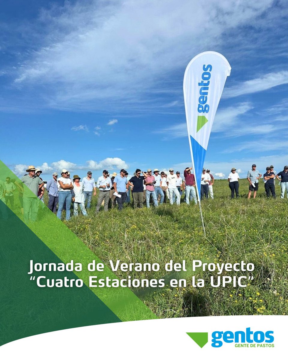 Gentos Uruguay tweet media