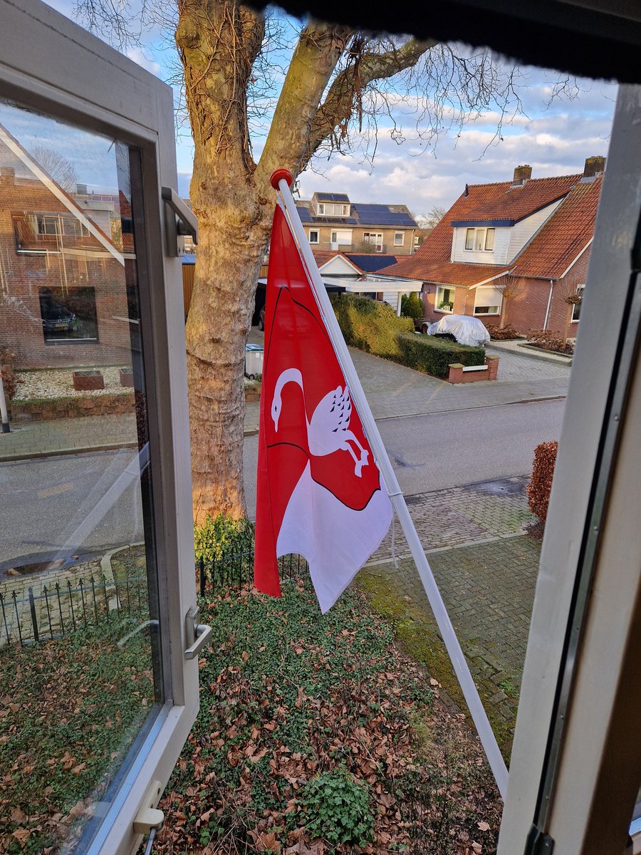 🗣 Huusse' Helau! 🇲🇨 🦢

#Huissen #Carnaval2025 🥳