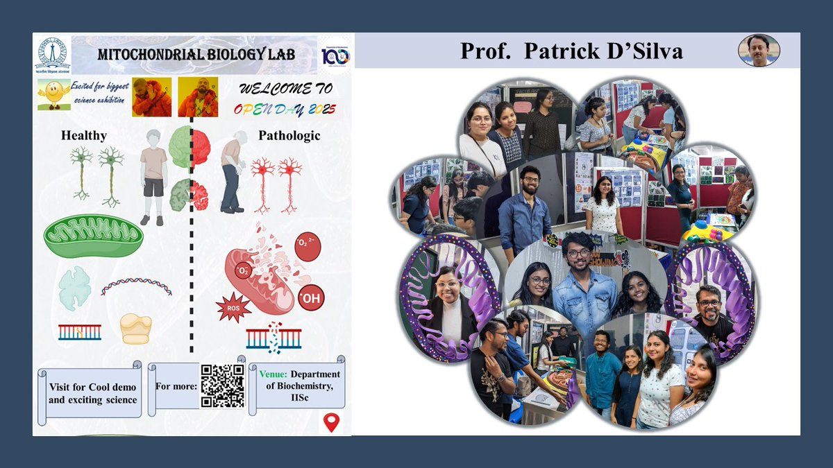 Mitochondrial Biology Lab tweet media