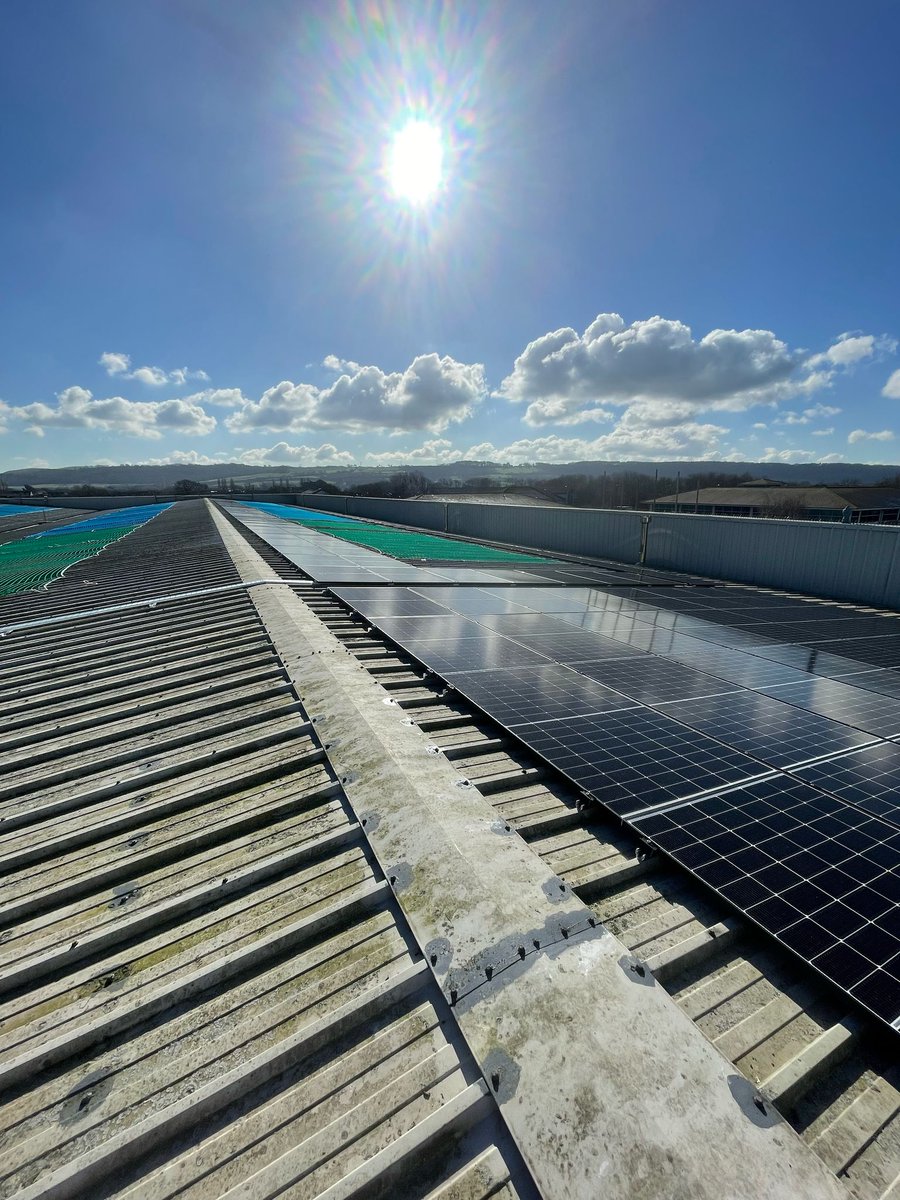 Masters 24/7 tweet media