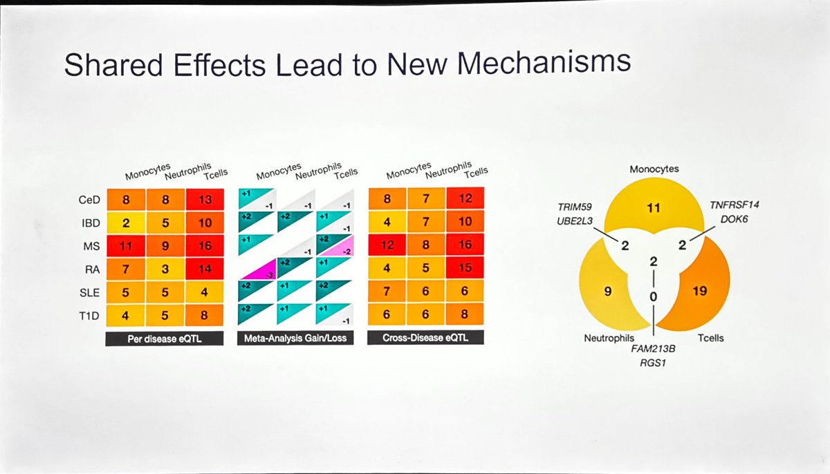 Lincoln: Autoimmune disease such as MS, Celiac disease. rheumatoid arthritis and Crohn’s share genetic risk in a complex manner. Particular risk foci (and mechanisms) are shared in autoimmune diseases and affect specific immune cells. #ACTRIMS