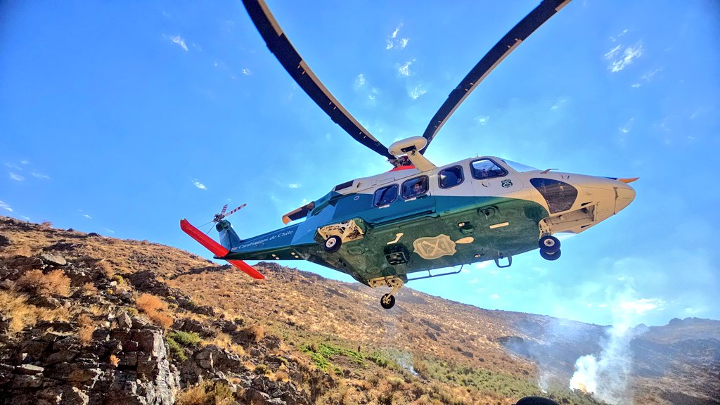CarabCoquimbo's tweet image. 🚨 Combate a los narcocultivos: carabineros #OS7 #Limarí concretaron su tercer decomiso histórico en dos meses y ya superan las 90 mil plantas incautadas este año en la región de #Coquimbo. Además, procedimiento en #MontePatria evitó comercialización de 300k de droga elaborada.