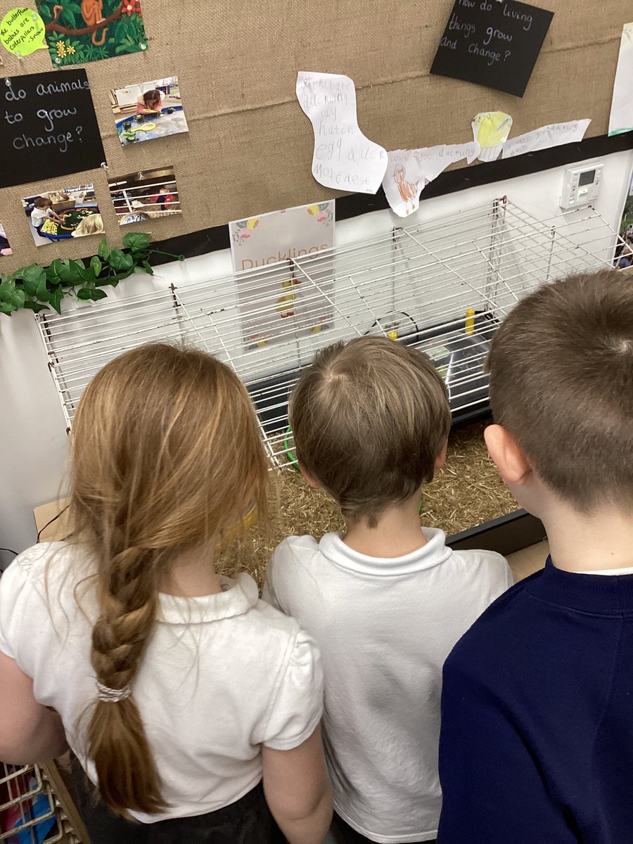 Little Learners tweet media