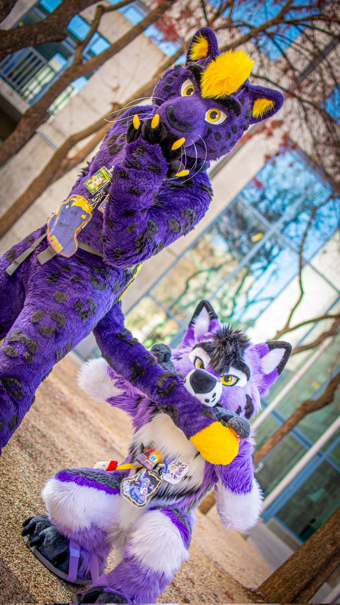 Finn 🔜 LVFC tweet media