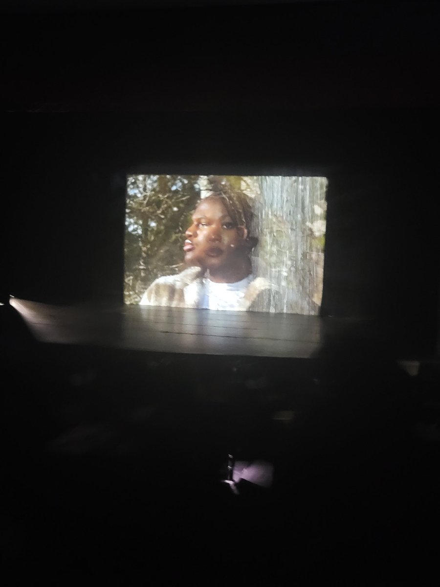 mrskjeter's tweet image. Our @WHS_Redhawks BHM program was nothing short of remarkable! Our students expertly created, designed, and implemented a powerful production that was both powerful & educational. Kudos to all involved. Well done!! ❤️💛💚✊🏾🦅