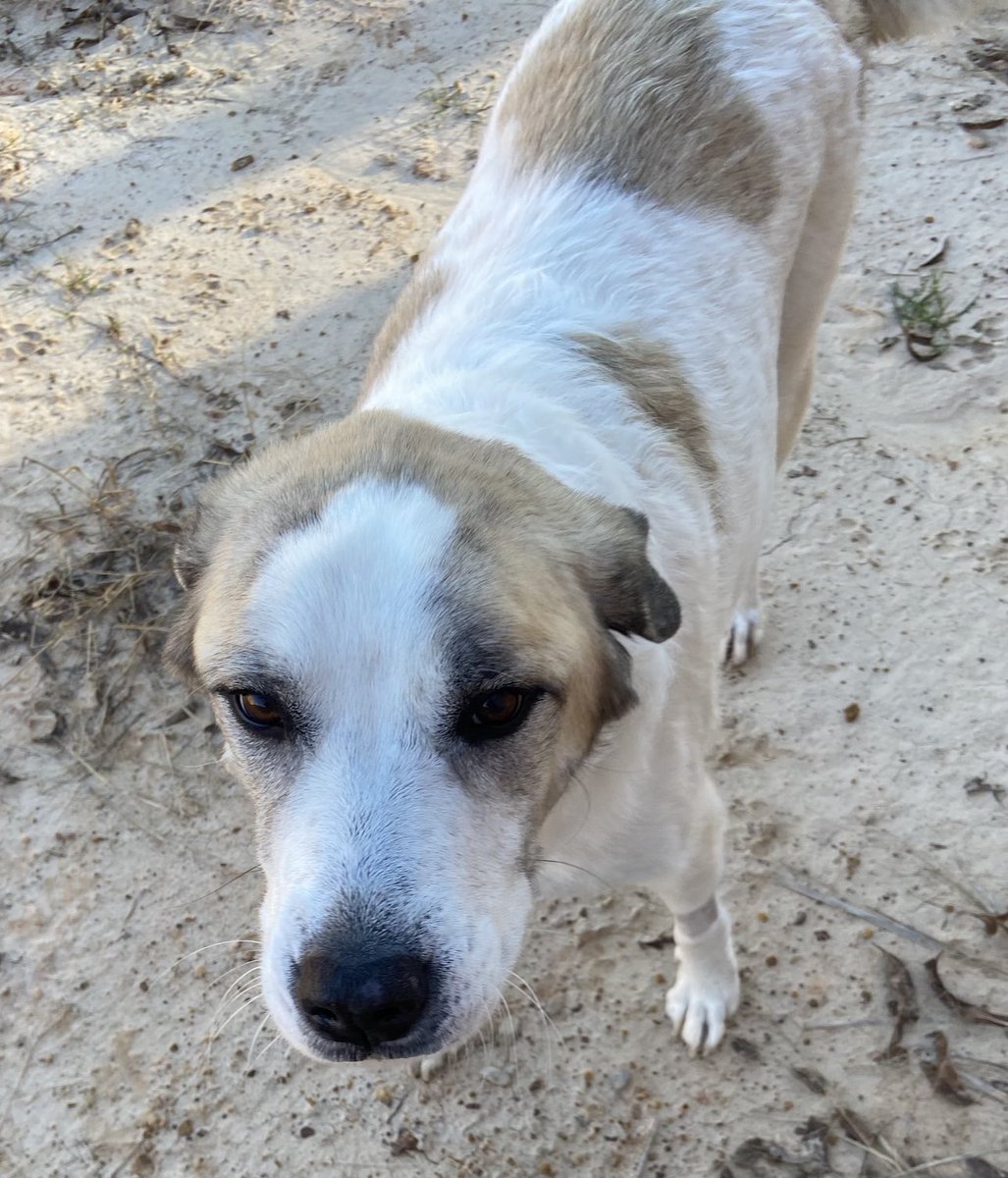 Shannon Minter tweet media