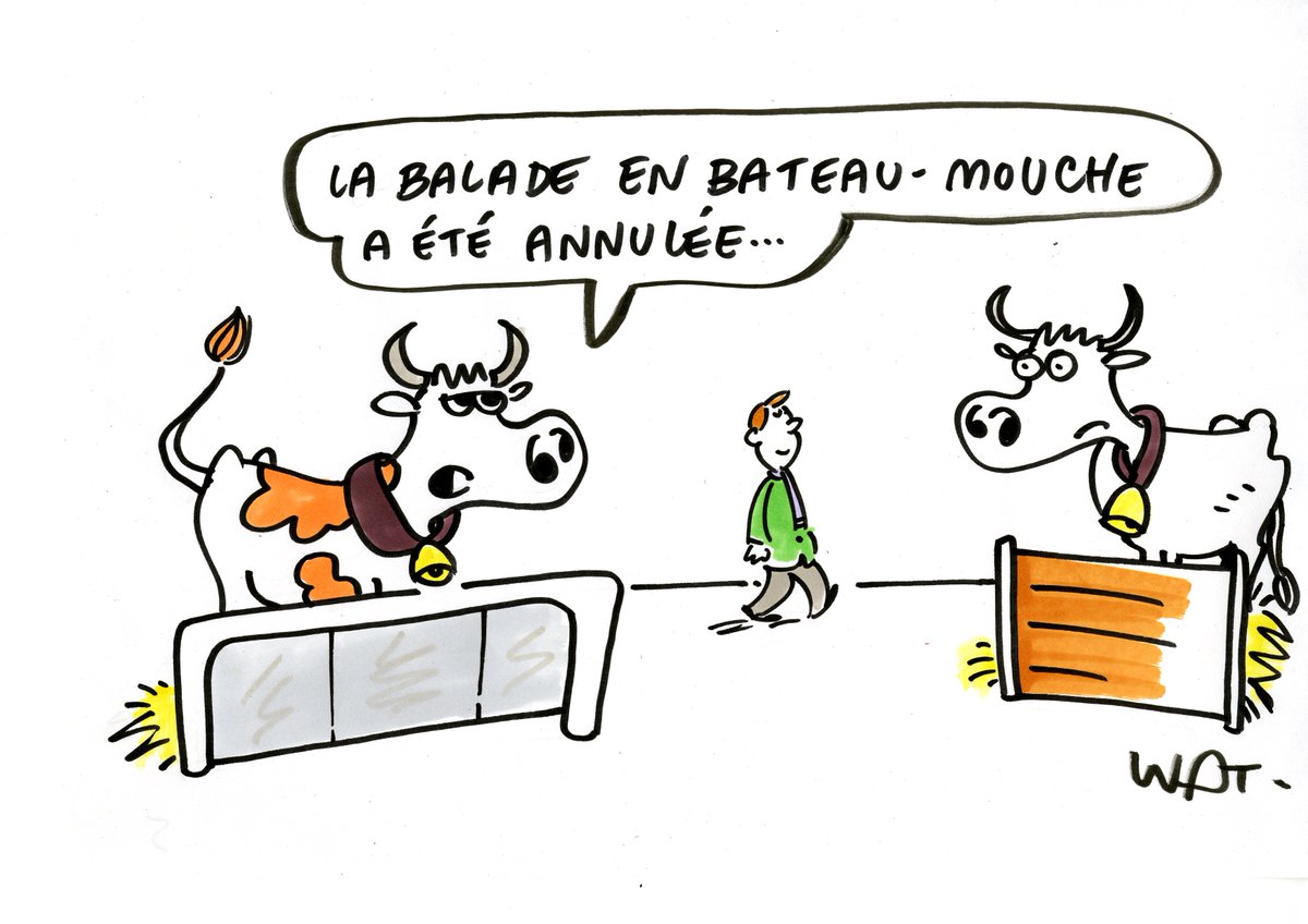 Emmanuel Wat tweet media