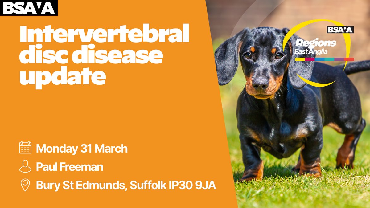 Paul Freeman, European and RCVS Specialist in Veterinary Neurology, will lead an insightful session covering IVDD classification, case approach, treatment options, and emerging research.
Book here: ow.ly/V2O150V7CsQ