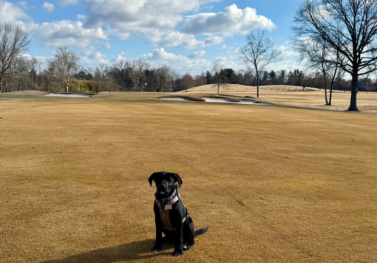 Our newest team member, Kona, helping JP and Logan grade #3 tee today.