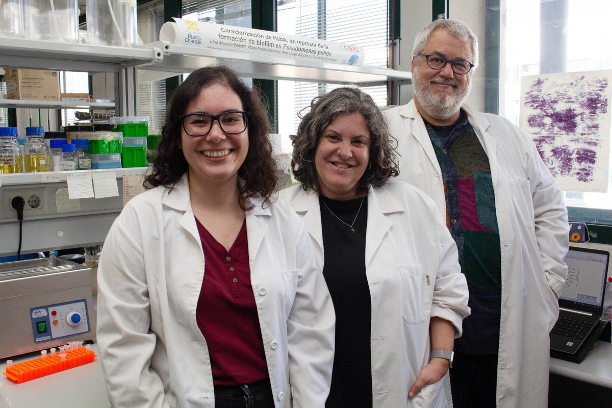 Centro Andaluz de Biología del Desarrollo (@cabd_upo_csic) on Twitter photo ¡Enhorabuena al equipo liderado por Fernando Govantes que ha descubierto como la bacteria Pseudomonas putida fabrica sus flagelos, 'motores biológicos' clave para su movilidad! Este trabajo es parte de la tesis de <a href="/marpulsan/">Marta Pulido 🦋martapulido.bsky.social</a>, co-dirigida por <a href="/aroalopsan/">Aroa López-Sánchez</a> <a href="/Parazelso/">Fernando Govantes</a> ¡Enhorabuena al equipo liderado por Fernando Govantes que ha descubierto como la bacteria Pseudomonas putida fabrica sus flagelos, 'motores biológicos' clave para su movilidad! Este trabajo es parte de la tesis de <a href="/marpulsan/">Marta Pulido 🦋martapulido.bsky.social</a>, co-dirigida por <a href="/aroalopsan/">Aroa López-Sánchez</a> <a href="/Parazelso/">Fernando Govantes</a>