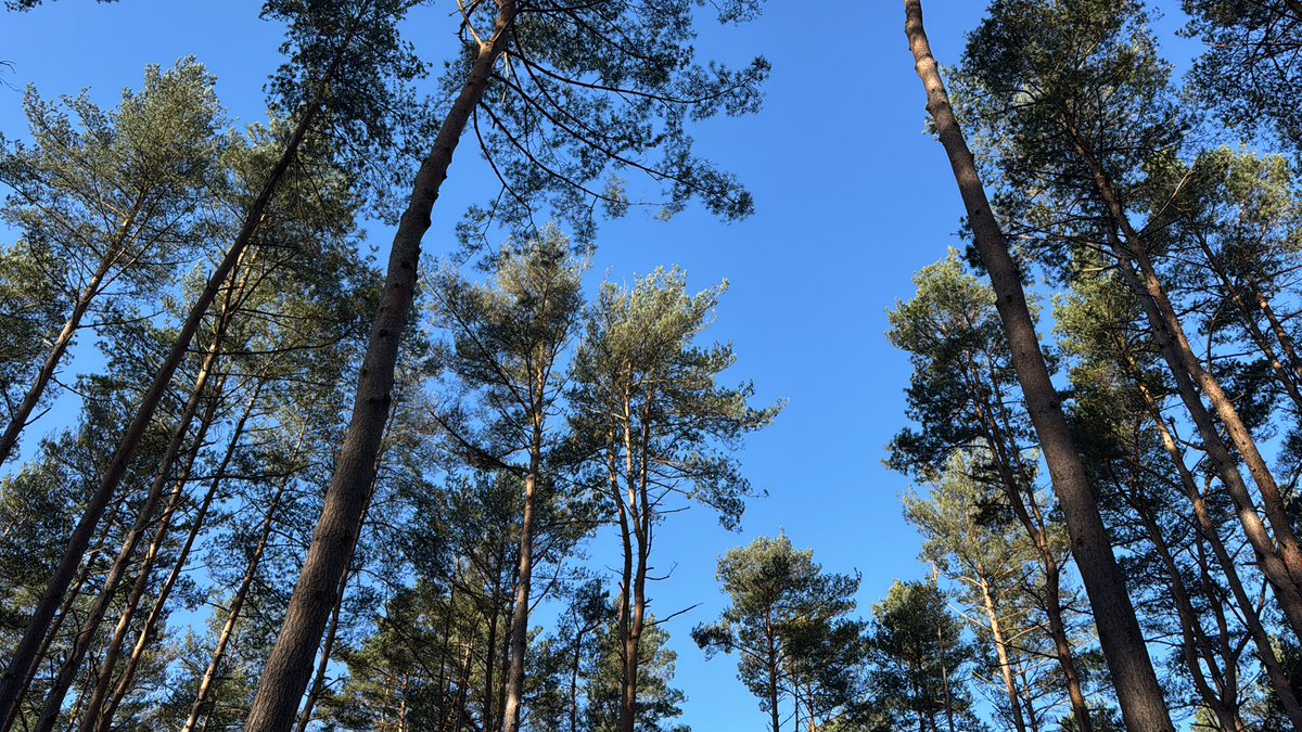 Megan McCubbin (@meganmccubbin) on Twitter photo Coming live from the <a href="/thismorning/">This Morning</a> forest on today’s show! With beautiful blue skies overhead and the volume of bird song, spring is definitely on its way! I’ll be live on the show today from 10am discussing how to spot signs on spring including some wildlife to look out for 🌼🪶 Coming live from the <a href="/thismorning/">This Morning</a> forest on today’s show! With beautiful blue skies overhead and the volume of bird song, spring is definitely on its way! I’ll be live on the show today from 10am discussing how to spot signs on spring including some wildlife to look out for 🌼🪶