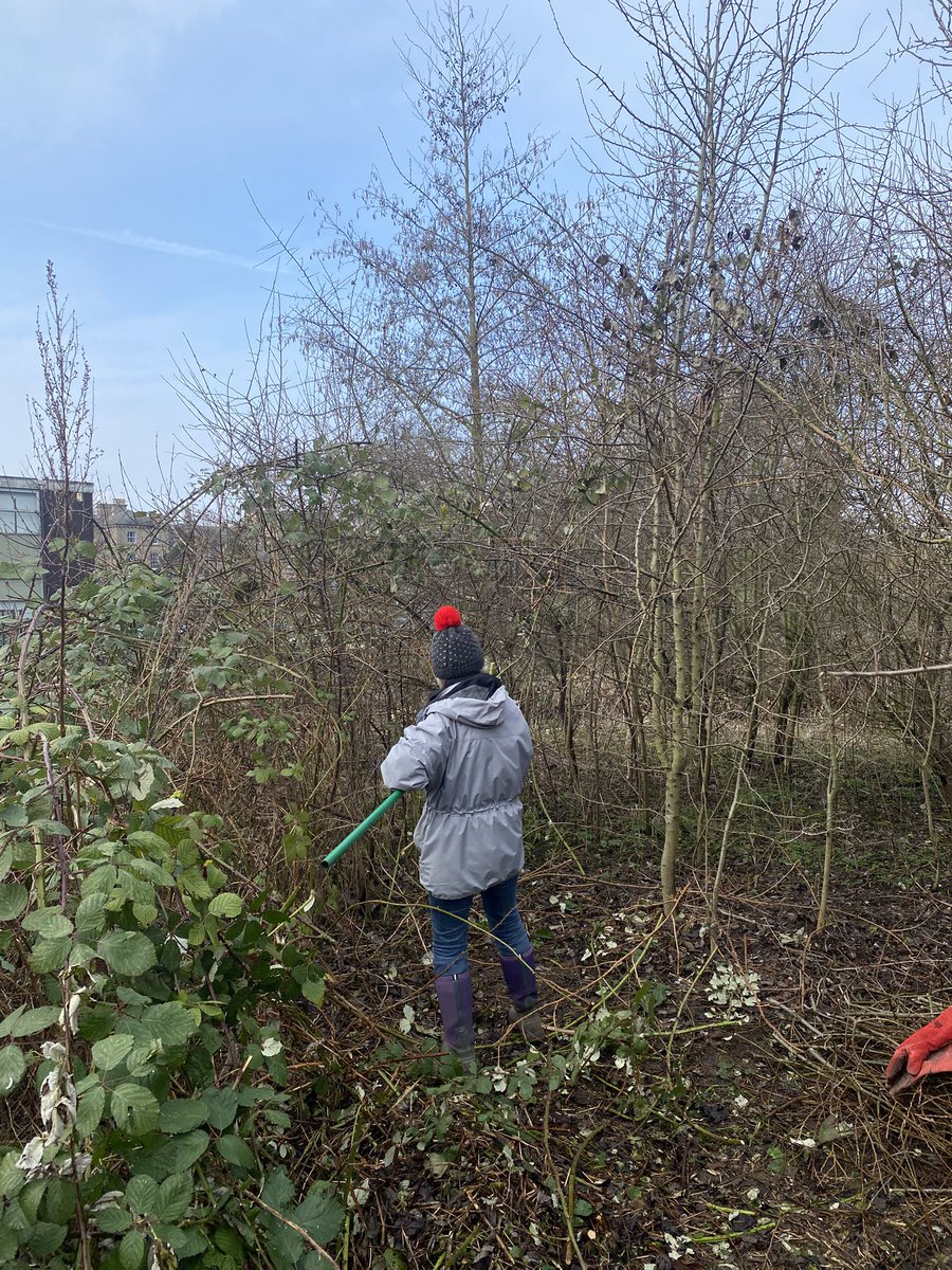 CountrysideNK (@countrysidenk) on Twitter photo Some recent volunteering activity on <a href="/hillholtwood/">Hill Holt Wood</a> <a href="/NorthKestevenDC/">North Kesteven District Council</a> Lollycocks Field Local Nature Reserve, Sleaford. Activities included litter picking, deadwood habitat creation and bramble clearance. Some recent volunteering activity on <a href="/hillholtwood/">Hill Holt Wood</a> <a href="/NorthKestevenDC/">North Kesteven District Council</a> Lollycocks Field Local Nature Reserve, Sleaford. Activities included litter picking, deadwood habitat creation and bramble clearance.