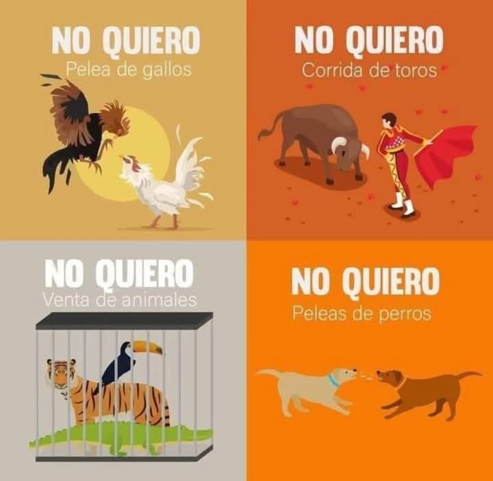 TlacatecolotlMX's tweet image. @WitoWitowito71 buena tarde, mil querido #Compi, que disfrutes tus alimentos..!  Todo listo para la chamba..! 

#AbrazosDeLuz