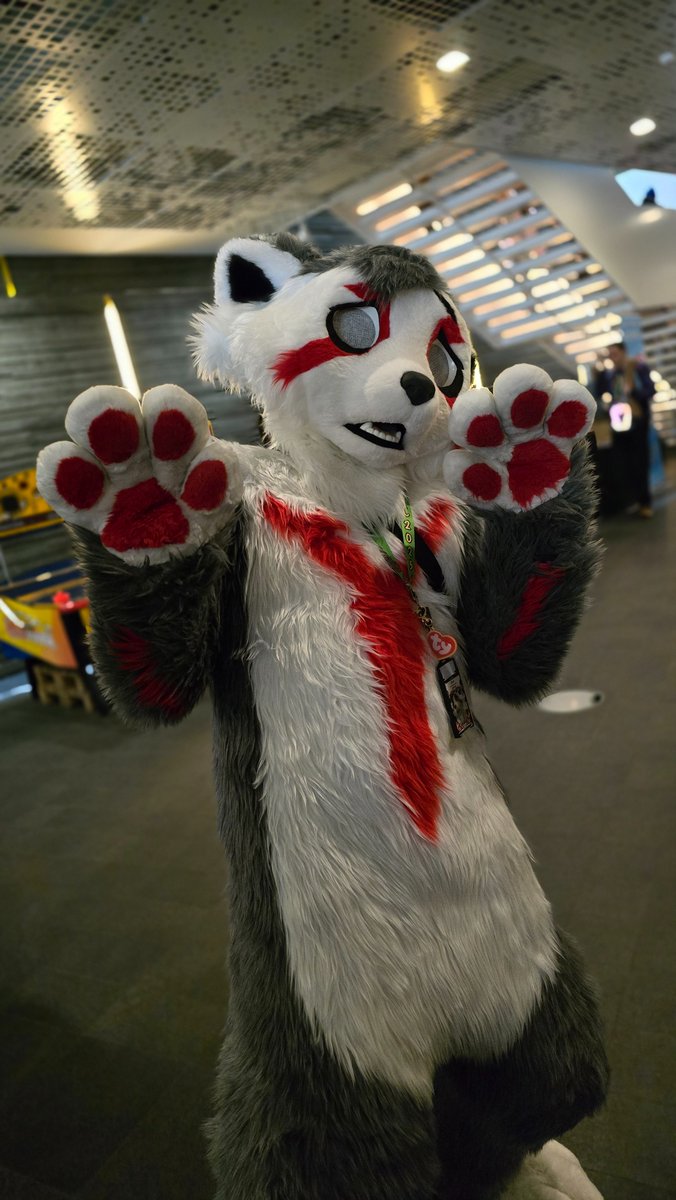 Sad ded red panda at #NFC2025