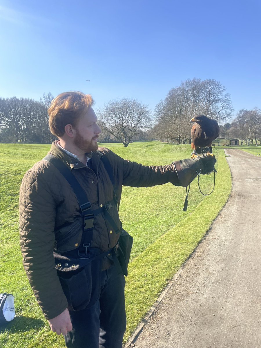 rmsgc_course's tweet image. The @golfenvawards UK EnvironmentalClub OfThe Year accelerating our credentials &amp;amp; using Hawks to control crow populations. Introducing this natural predator-prey dynamic will effectively deter crows without causing harm - and patrol for unrepaired pitchmarks!