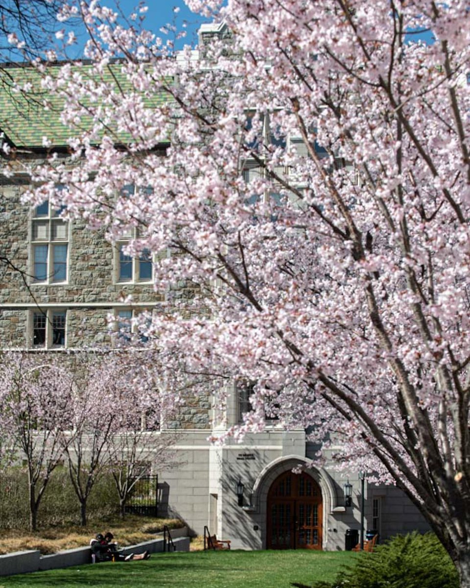 Happy Friday, BC. 

Felt like spring on the Heights...at least this week.