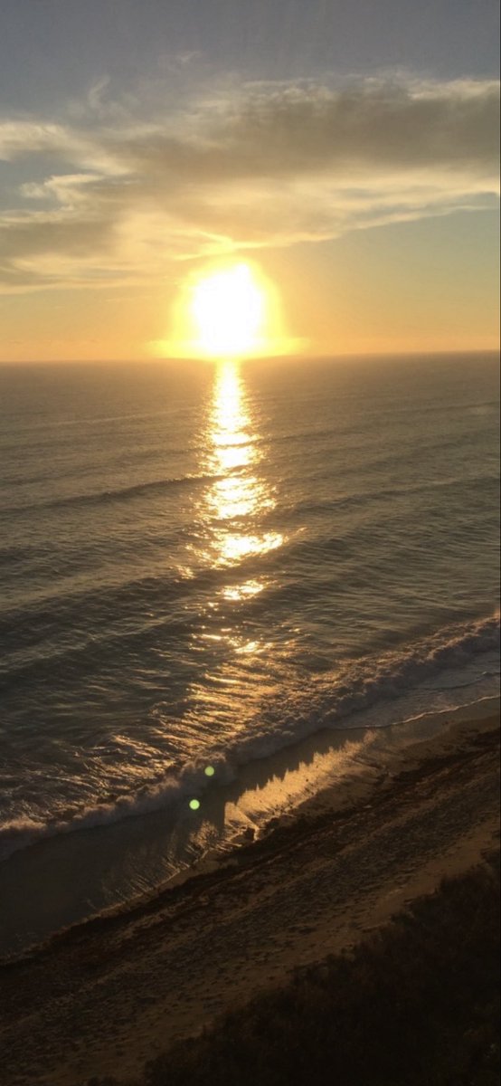 46F here yesterday. It felt balmy compared to the long run of freezing temps. I’m ready for spring. Happy Friday. Wishing you a great weekend!🌺🌊🏄‍♂️🌺