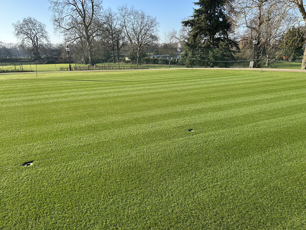 Courts picking up now 👍🌱