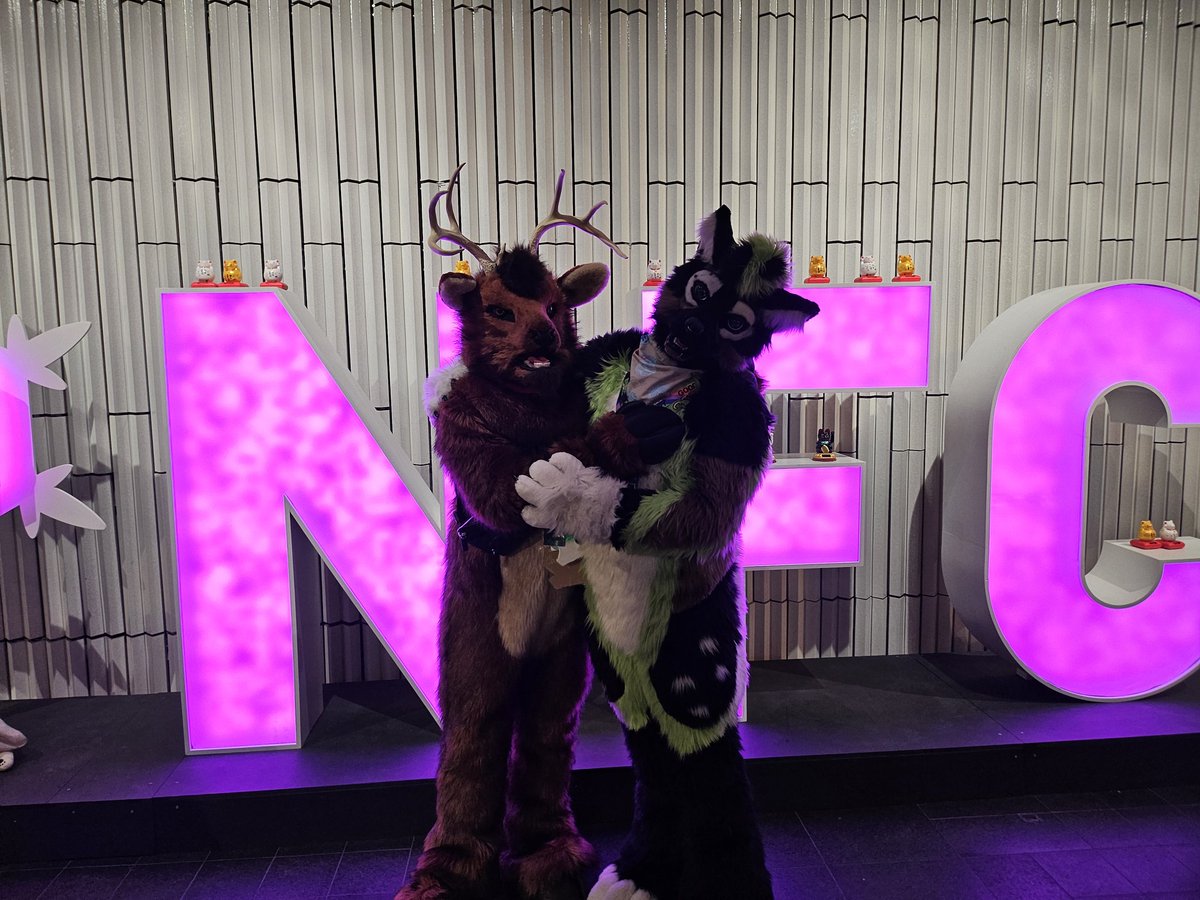 Me with a cutie fluffy his name is Noxx
🦌 <a href="/DeerLeroy/">LeroyTheDeer 🦌🇩🇪 @NFC</a> 
🐺 Noxx
🪡 <a href="/KegawaCreation/">Kegawa Creation</a> 
Happy #FursuitFriday everyone 😁
#NordicFuzzCon