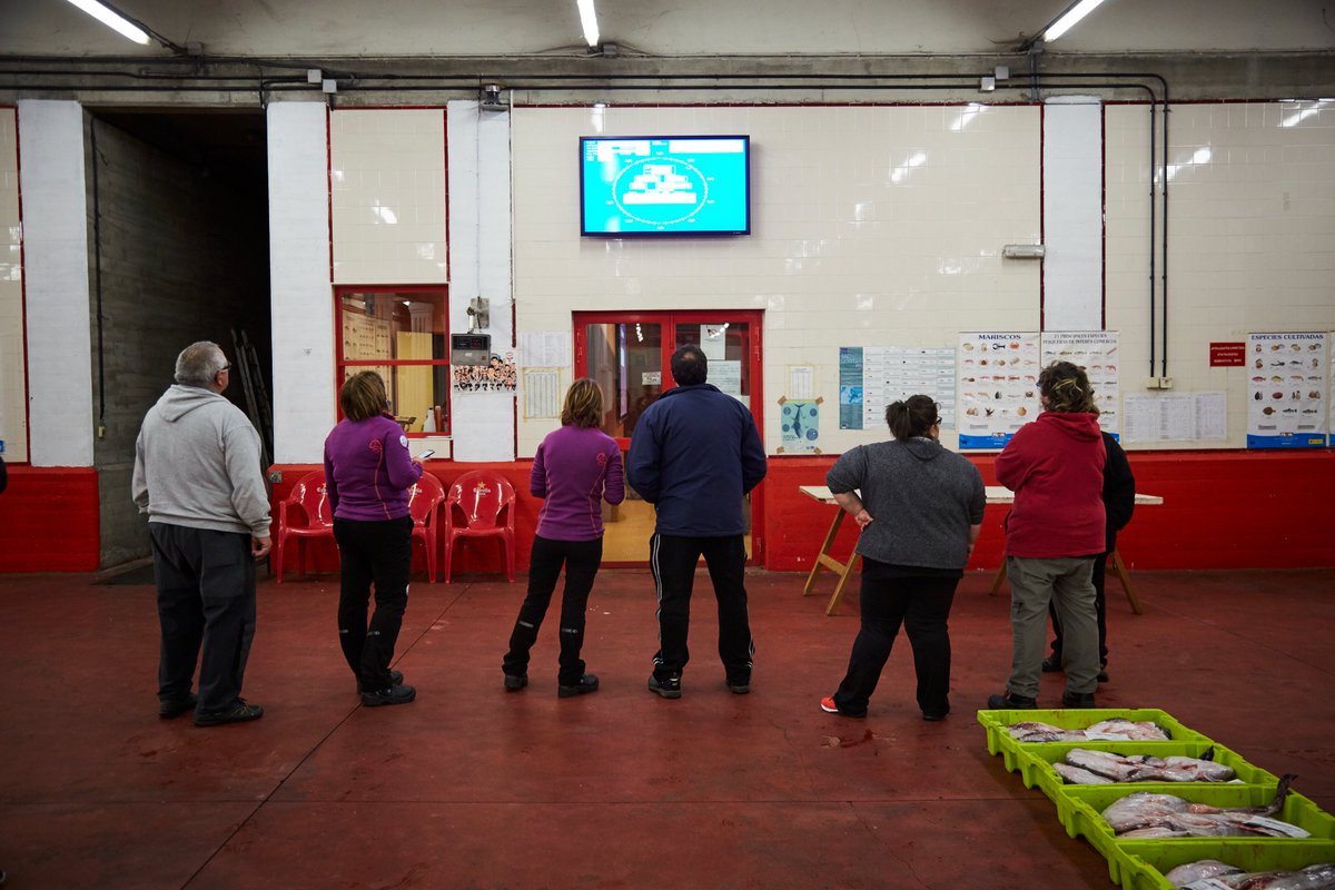 itsaslurraEJGV's tweet image. 🐟 Otsaileko arrantza-sektorearen #Behatokia-k argitaratu duenez, Euskadiko kofradietan saldu den  #arrain kopurua eta salmenten balioa %69 eta %34 handitu dira, hurrenez hurren, joan den urteko hilabete berdinarekin alderatuz.

@hazifundazioa 

🔗 euskadi.eus/boletin_revist…