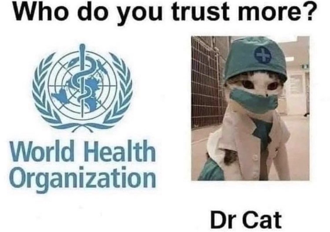 I trust Dr. Cat
