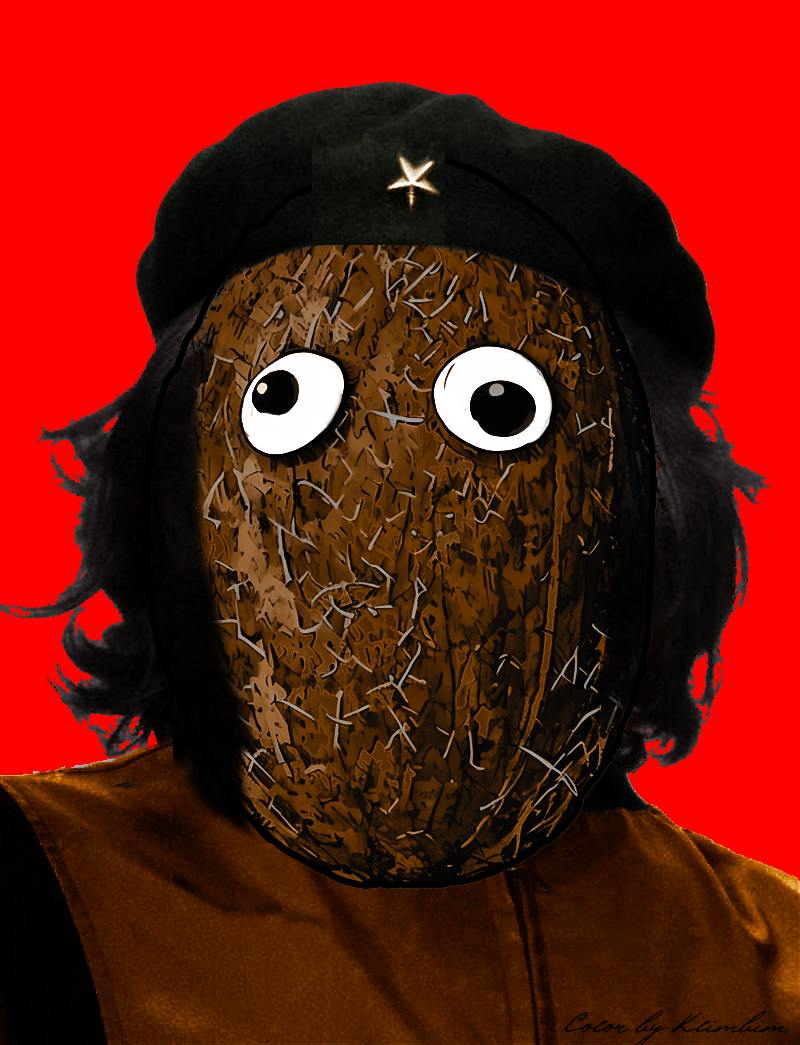 nutty the gfm coconut tweet media