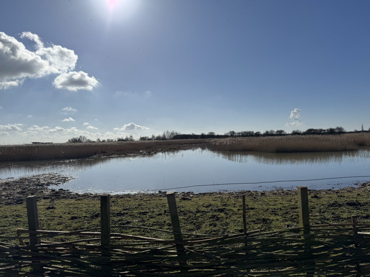 Emma Walters (she/her) tweet media