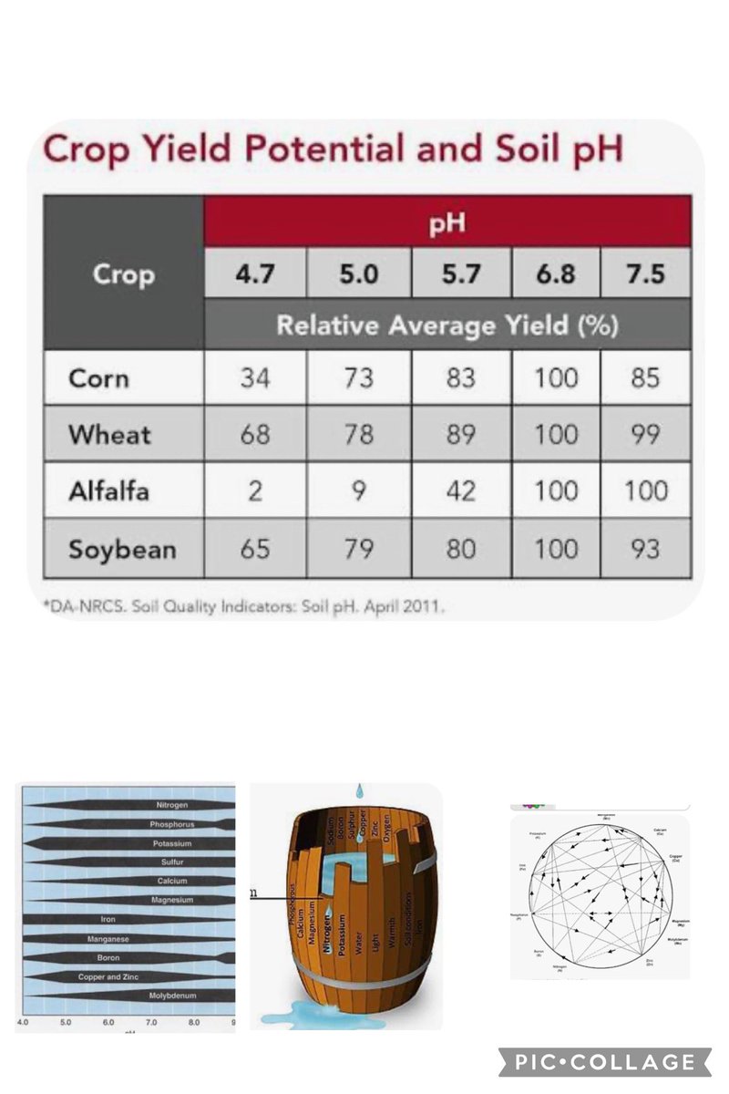Are there so-called “universal truths” in agriculture? Yield vs pH, nutrient availability by pH, Liebig’s Law of the Minimum, and Mulder’s Chart have been standard references for decades, but are they universally correct? Where did they come from? What was the data behind the