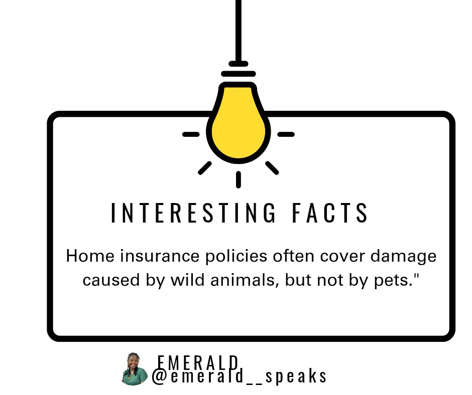 EmeraldSpeaks1's tweet image. Some of the most unimaginable things are covered, just ask questions and you will be surprised that there is an insurance cover for it...

E_S

#insurance 
#insureit 
#love 
#insuranceaccess 
#emeraldspeaks 
#insureyourlove