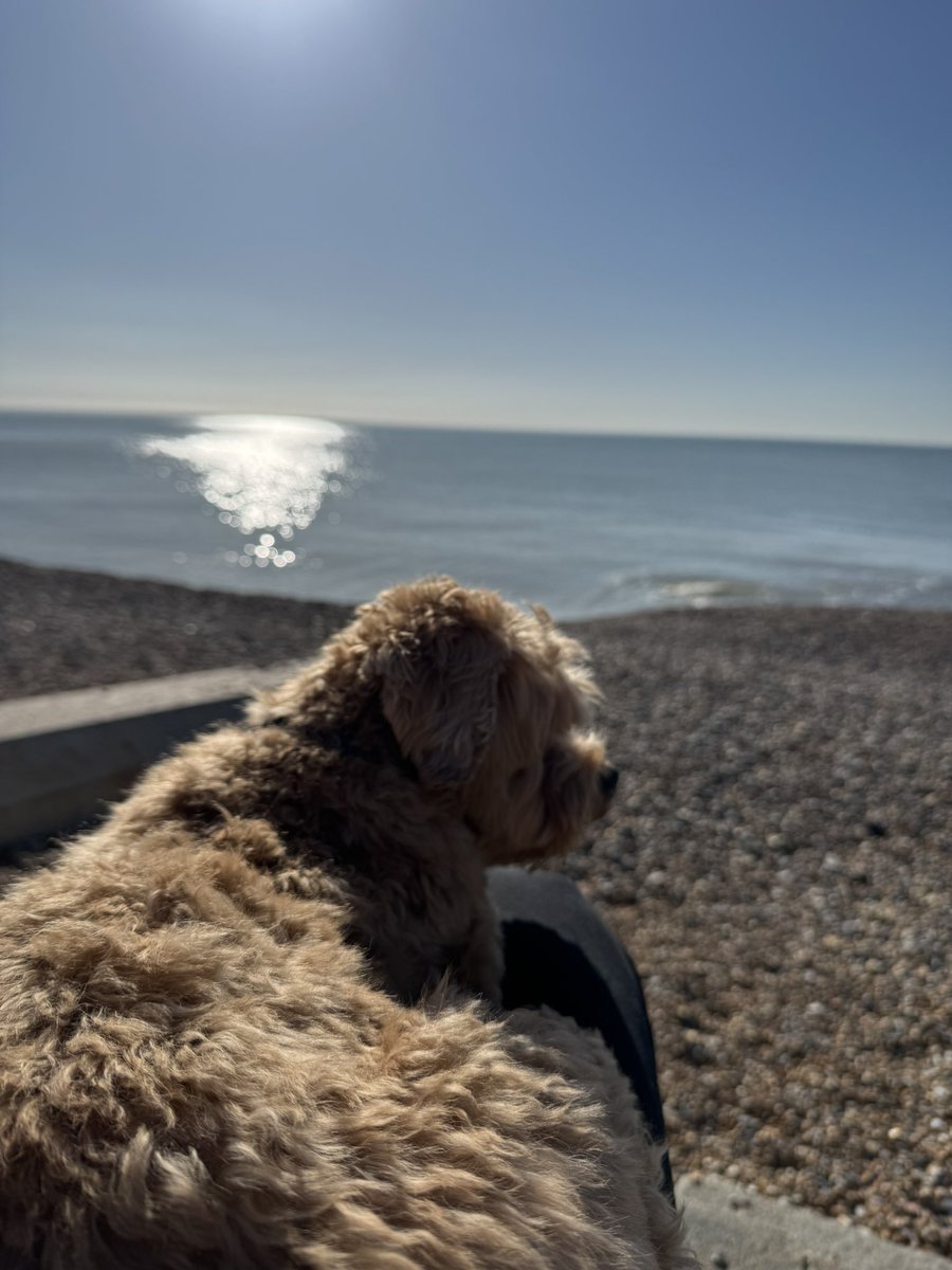 chrisnash23's tweet image. Is winter nearly over?