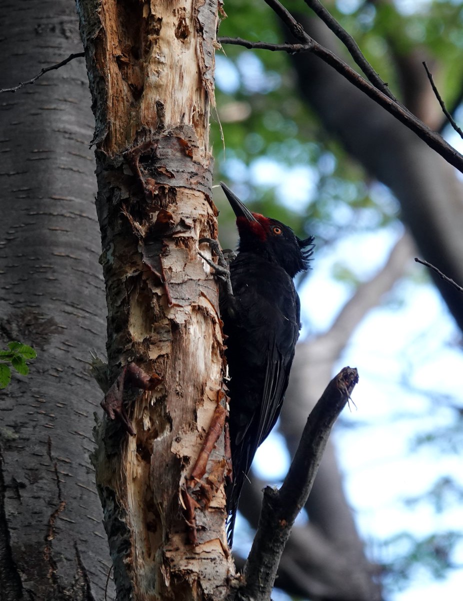 Neil Donaghy tweet media