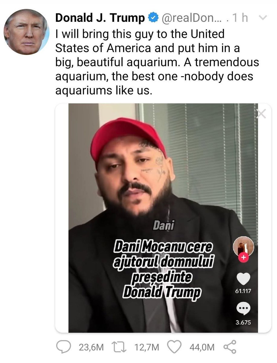 Mr. BluE tweet media