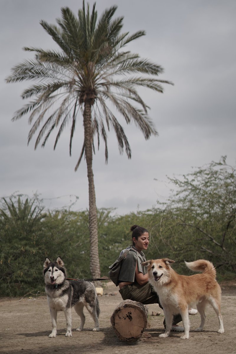 Yin and yang

A girl traveling with her two big dogs - two dogs with two different personalities real photo camera sony a7 lens 50 mm f1.8 south iran size 4000 X 6000 pix
objkt.com/tokens/KT1MTN1…
