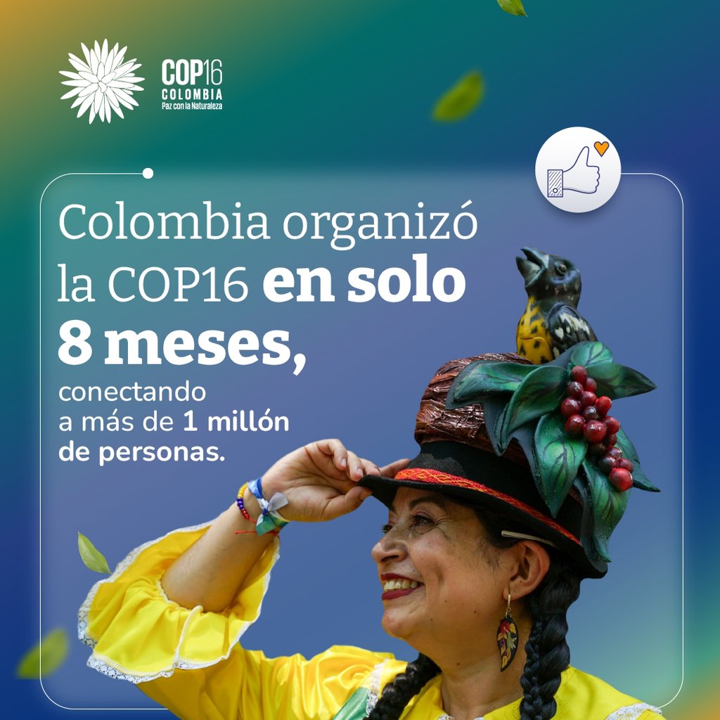 ¡Colombia marcó un hito! 

En solo 8 meses, se creó la mayor Zona Verde, reuniendo a más de un millón de personas con ganas de transformar nuestro planeta. 

¡Una #COP16Histórica!

#COP16Resumed #PazConLaNaturaleza 🌳✨