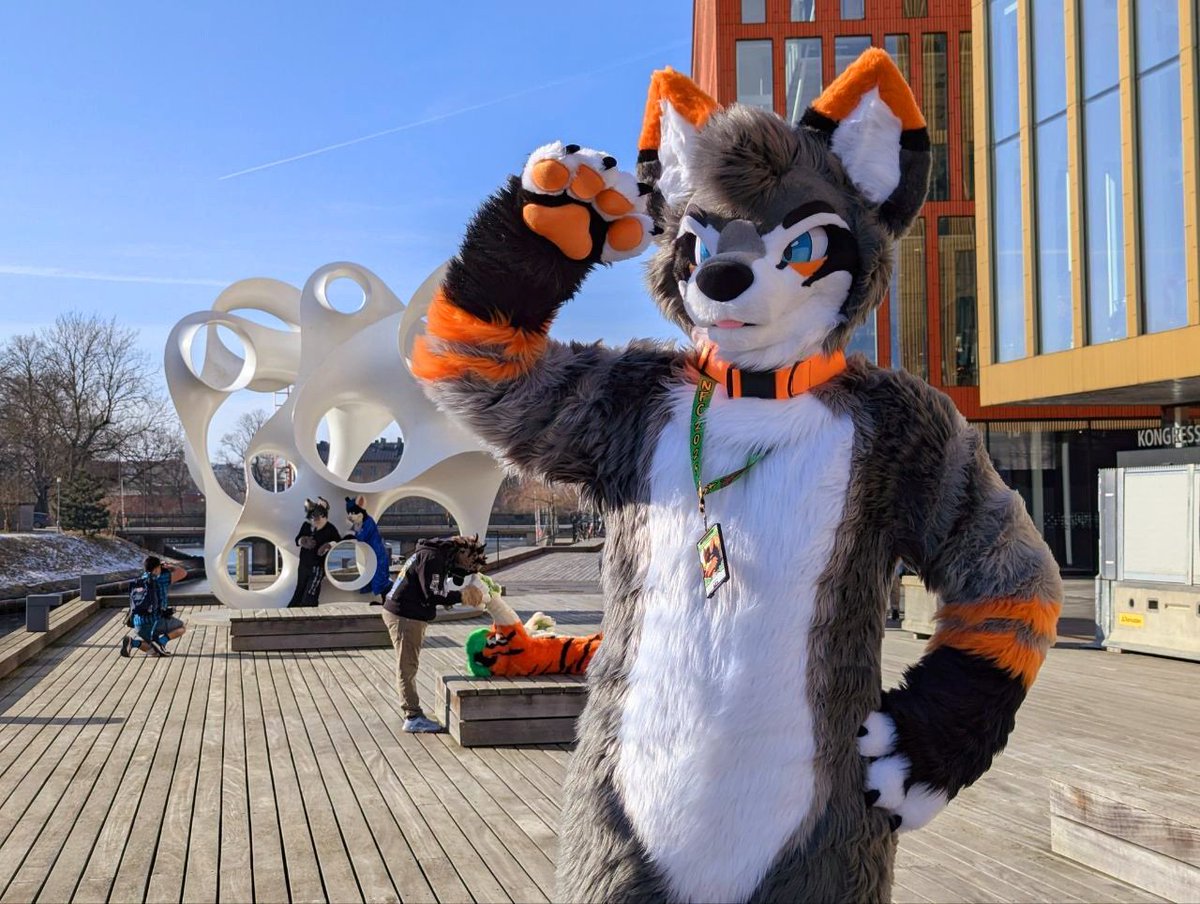 He's looking for something... 🐺 #FursuitFriday

📷: <a href="/OverlayFox/">OverlayFox</a> 
🪡🧵: <a href="/Furfuresh/">Furesh 🫧</a>