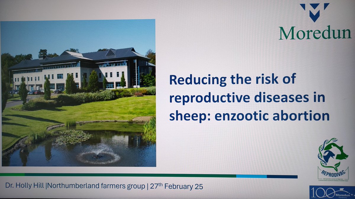 Holly Hill (@hollyhill89) on Twitter photo Really enjoyed getting the opportunity with <a href="/MoredunComms/">The Moredun Foundation</a> to talk to farmers about the risk of OEA in sheep and it's zoonotic potential and the work happening as part of <a href="/reprodivac/">REPRODIVAC EU Project</a> to develop next generation vaccines and companion diagnostics to help control disease. #vaccines Really enjoyed getting the opportunity with <a href="/MoredunComms/">The Moredun Foundation</a> to talk to farmers about the risk of OEA in sheep and it's zoonotic potential and the work happening as part of <a href="/reprodivac/">REPRODIVAC EU Project</a> to develop next generation vaccines and companion diagnostics to help control disease. #vaccines