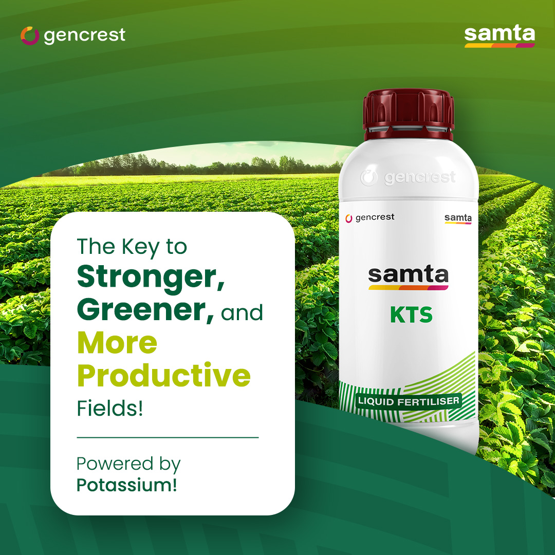 GencrestPvtLtd's tweet photo. 🌿 Stronger, Greener &amp; More Productive Fields! 🌱✨

Boost your crops with Samta KTS – a potassium-rich liquid fertilizer that strengthens roots, enhances growth &amp; improves yield. 🍃🌾

#SamtaKTS #CropBoost #PotassiumPower #SustainableFarming #BetterYields #HealthySoil #Gencrest https://t.co/xcs9C3zHdj
