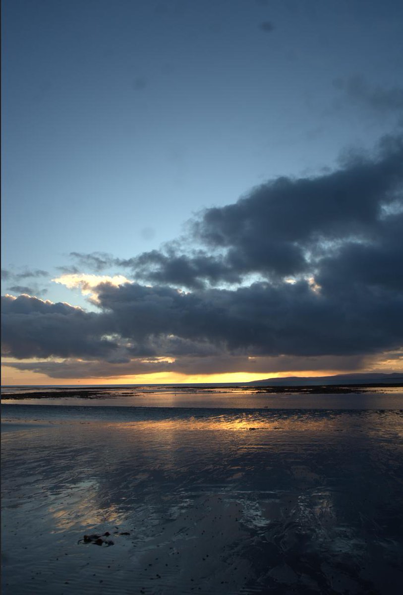 SchemeCryptid's tweet image. Got taken round collecting shells and driftwood yesterday, did a wake up in animal crossing?? Tom nooks getting slide tackled on sight