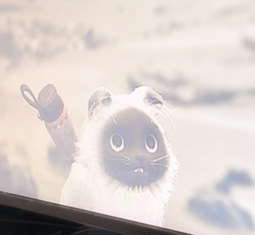 私の知ってるアイルーじゃない🐈
#モンハンワイルズ