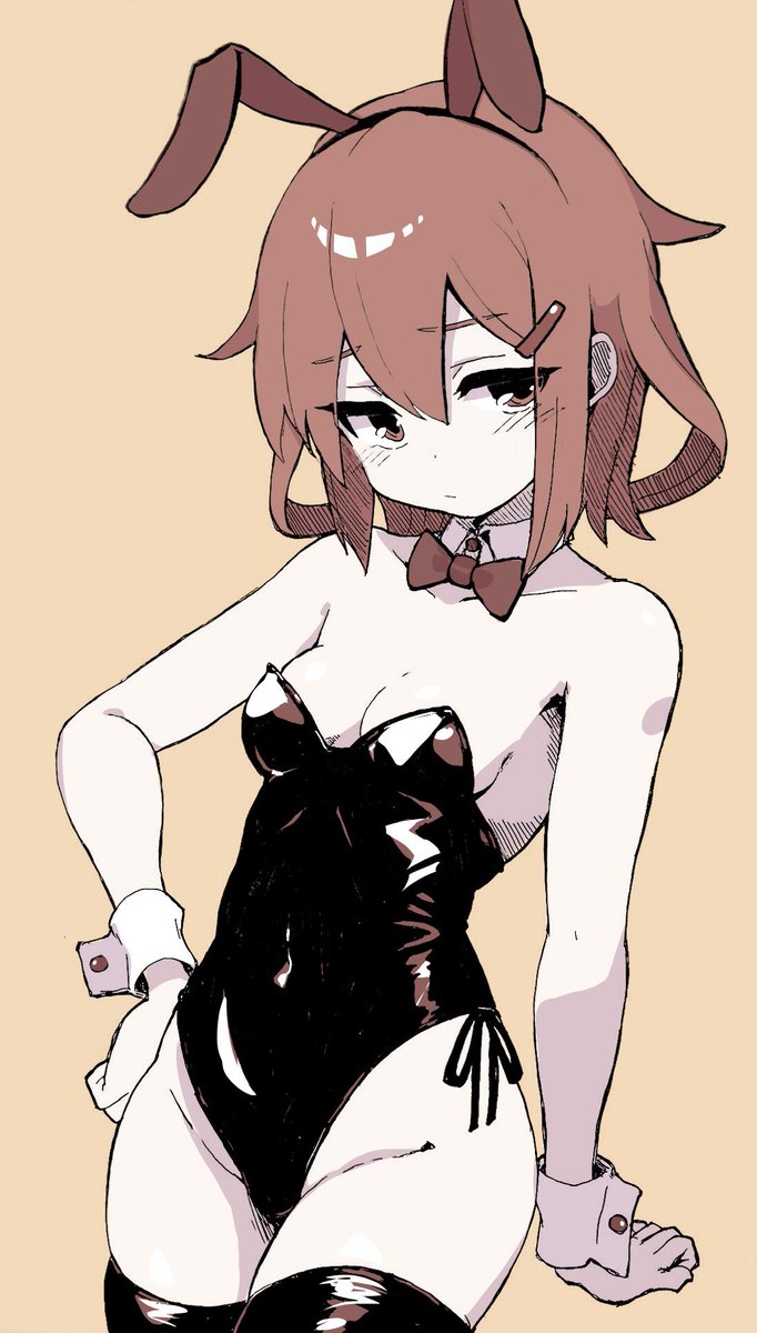 今日もバニーの日らしい 