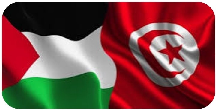 Algeria wid luv #𝙏𝙚𝙖𝙢𝙎𝙩𝙖𝙡𝙡𝙞𝙤𝙣 🇩🇿 tweet media