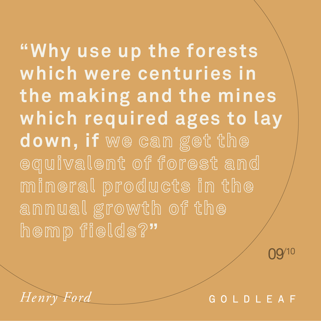 gldleaf's tweet image. Henry certainly asks a good question 🤔 What are some of your favorite uses of the plant? Tell us in the comments!