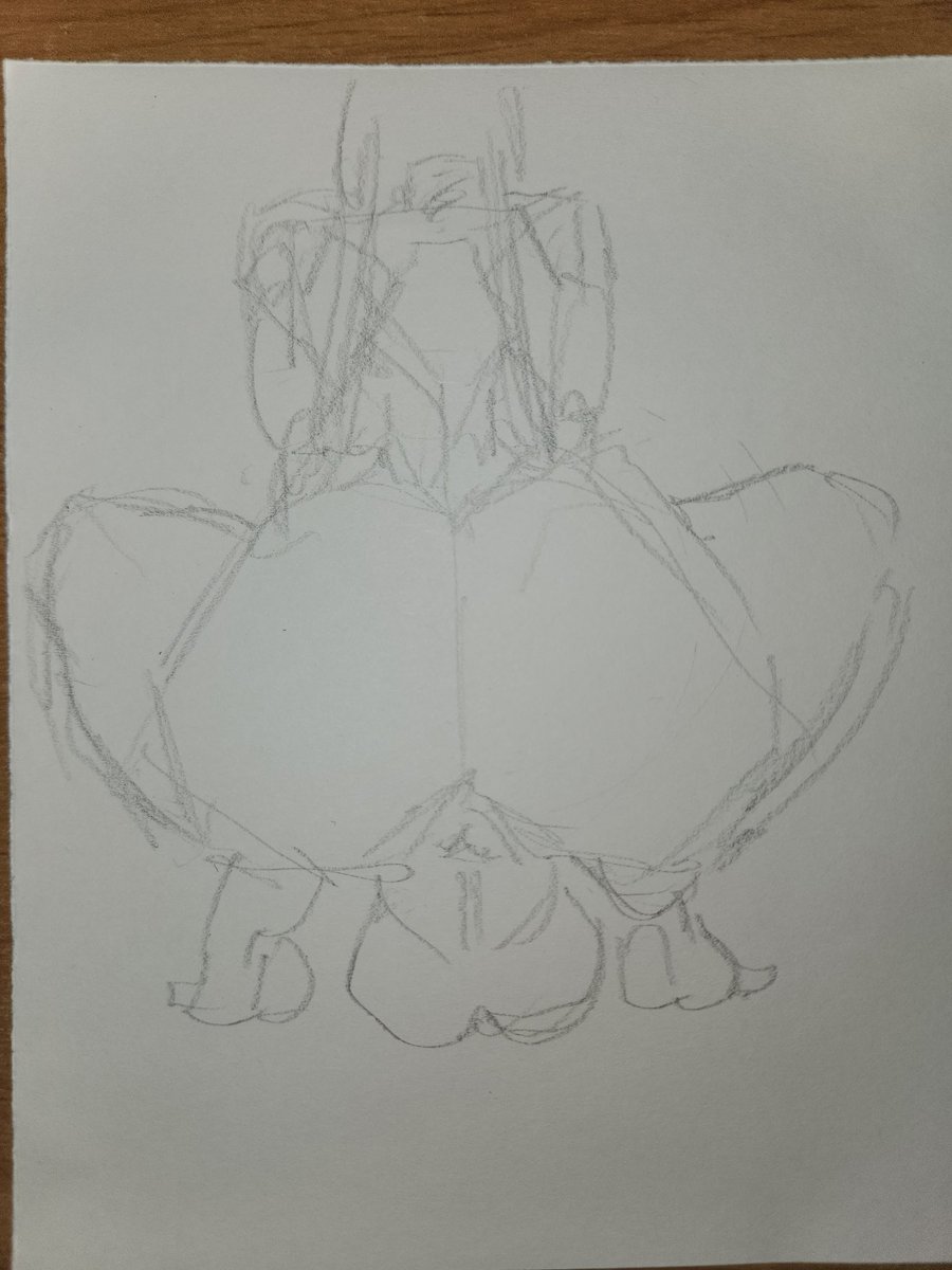 Shiny booty

#nsfw #FUTA #ass #pawg