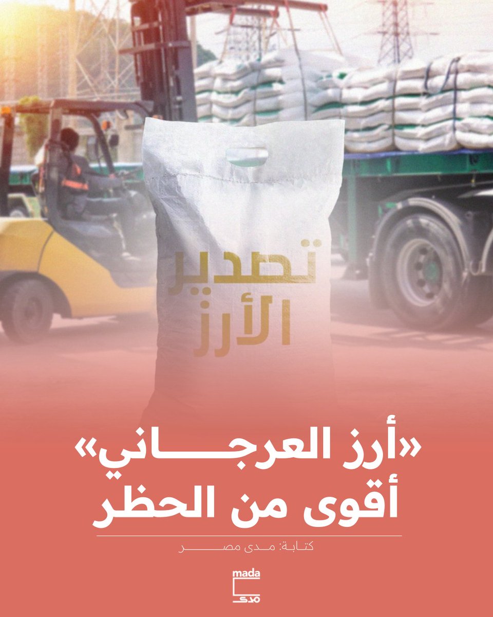 رغم تأكيد الحكومة استمرار حظر تصدير الأرز، تباهت شركة أبناء سيناء المملوكة لرجل الأعمال إبراهيم العرجاني، بنجاحها في تصديره إلى 18 دولة. هذا النجاح تعكسه البيانات الرسمية التي أشارت إلى قفزة غير مسبوقة في صادرات الأرز قاربت 4000% خلال عام 2024.

وراء النمو الرسمي في صادرات الأرز