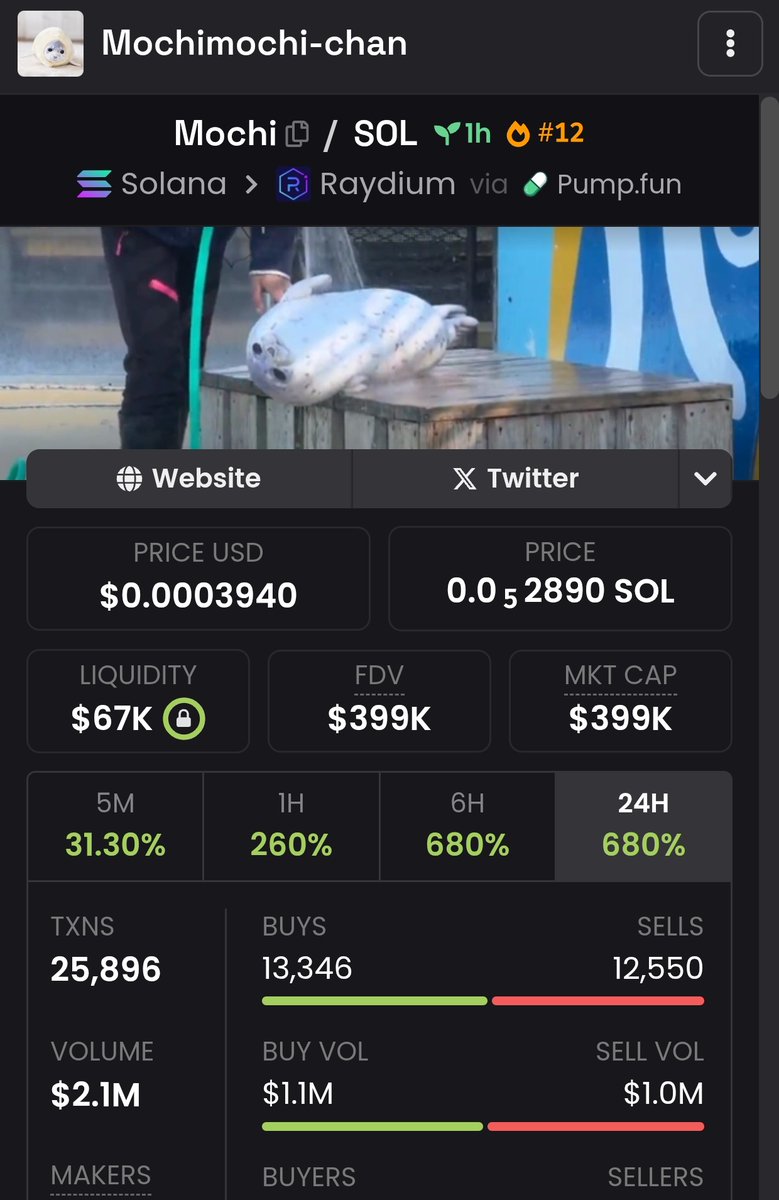 2X 💥💥💥💥
$mochi

Holding 100%

DBgNpHTUb8MFo3mAnh7QnAWkAQWTA1e88GUFHD6Epump