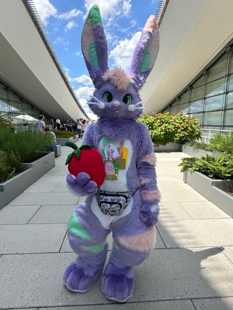 Bowie Bun (🐰) tweet media