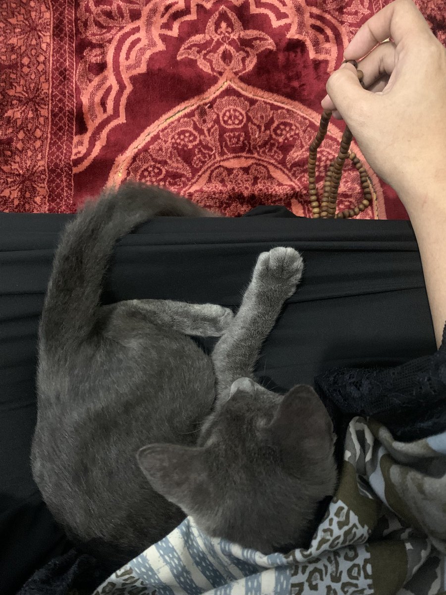 CicitFS's tweet photo. Rindunya mami nak😢rumah sepi selama abu tidak ada🥺tdk ada yg temani mami
Tarwih🥀💔 https://t.co/uT7wtQR6w0