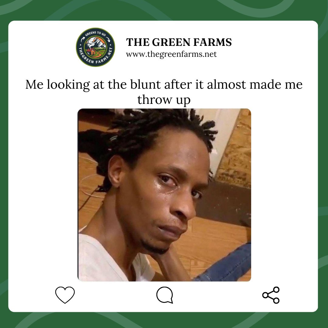 the_green_farms's tweet image. That one blunt that had NO business being that strong 🤢💀 Who rolled this??! 😂🔥
#thegreenfarms #canadawideshipping #BCfarms #weedlovers #cannabisclub #cannabisindustry #cannabiscommunity #cannabisculture #weed #weedmob #420friendly #stonerfam #420fam #ouieed #Mmemberville