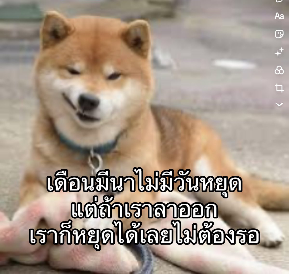 IMeSayIt's tweet photo. เมก้าเคลเวอร์ https://t.co/csfLQ030XQ